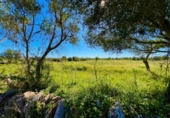 Terreno no urbanizable en venta en la España, Santanyí, ref: TR395238 foto