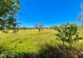 Terreno no urbanizable en venta en la España, Santanyí, ref: TR395238 foto