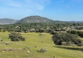 Chalet independiente con terreno en venta en la España, San Martín de Valdeiglesias, ref: TR162518 foto