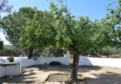 Chalet independiente con terreno en venta en la España, Villanueva de los Castillejos, ref: TR245636 foto