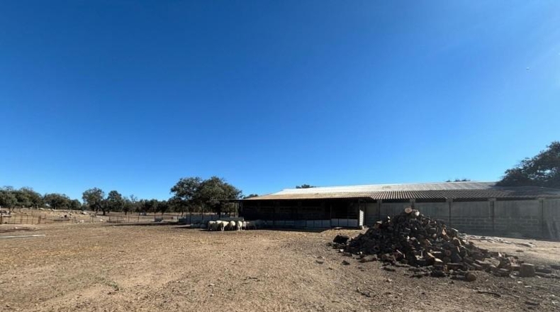 Córdoba - Pozoblanco - 1165619m2