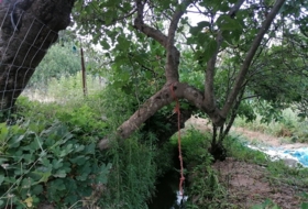 Foto 15