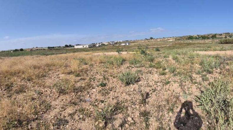 Murcia - Cartagena - 86275m2