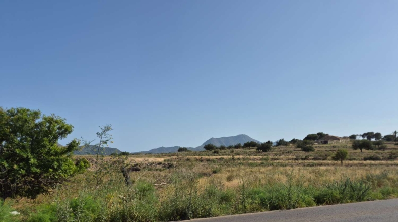 Murcia - Cartagena - 86275m2