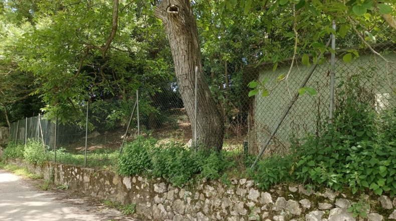Asturias - Posada de Llanes - 800m2
