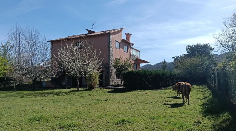 Pontevedra - Cerdedo - 3276m2