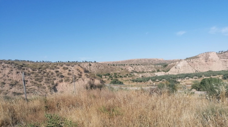Murcia - Lorca - 13725m2