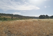 Chalet independiente con terreno en venta en Lorca ref: TR414933 foto