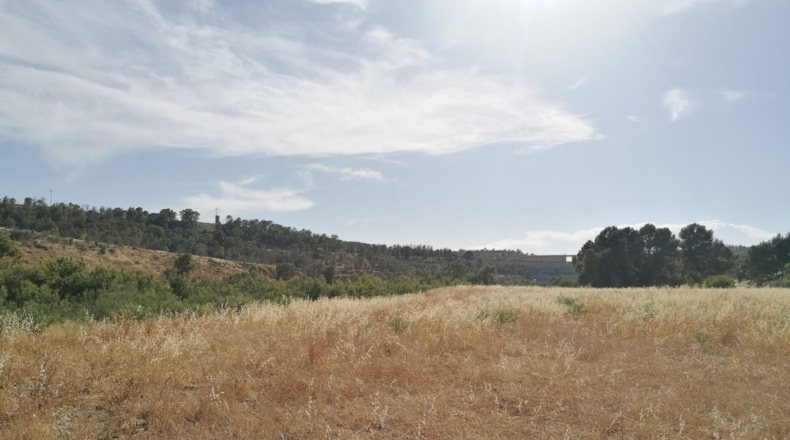 Murcia - Lorca - 13725m2