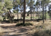 Chalet independiente con terreno en venta en Lorca ref: TR414933 foto