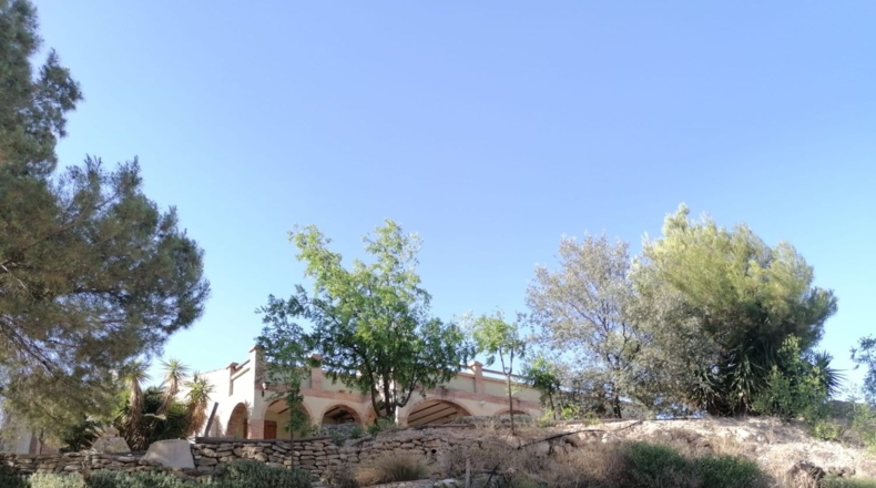 Murcia - Lorca - 13725m2