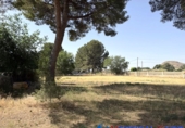 Chalet independiente con terreno en venta en Villena ref: TR414934 foto