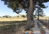 Chalet independiente con terreno en venta en Villena ref: TR414934 foto