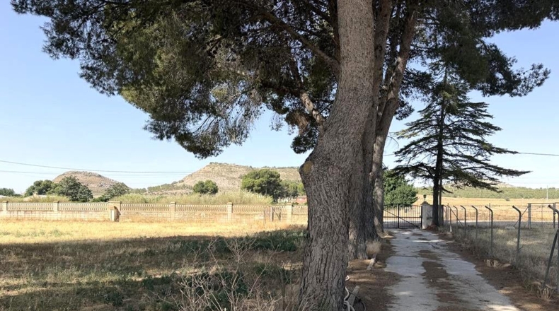 Alicante - Villena - 3052m2