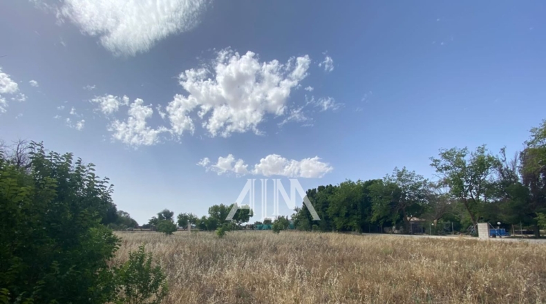 Ciudad Real - Membrilla - 2500m2
