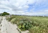 Sòl urbà en venda a Alhaurín de la Torre ref.: TR403210 foto