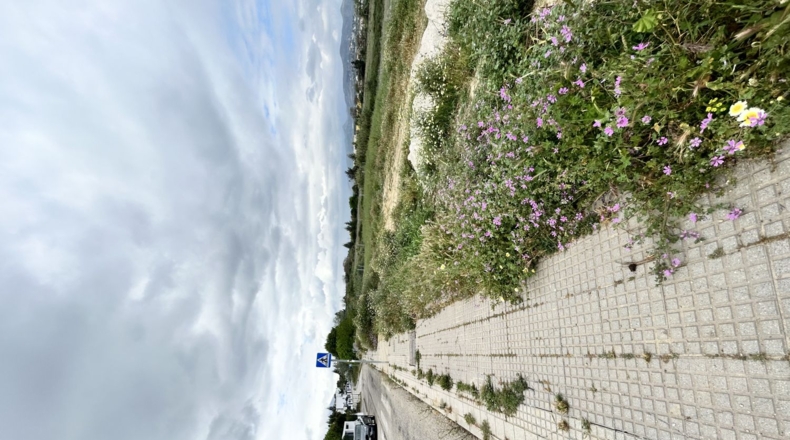 Малага - Alhaurín de la Torre - 256m2