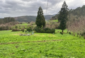 Coaña 3940&nbsp;m²