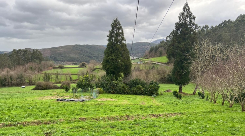 Asturias - Coaña - 3940m2