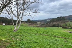 Coaña 3940&nbsp;m²