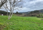 Finca rústica en venta en Coaña ref: TR414942 foto