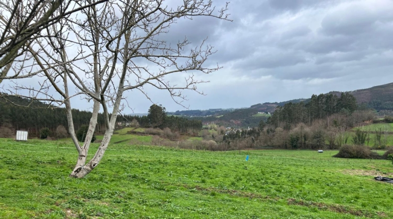 Asturias - Coaña - 3940m2