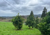 Finca rústica en venta en Coaña ref: TR414942 foto