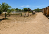 Finca rústica en venda a Alcalá de Guadaíra ref.: TR233447 foto