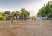 Finca rústica en venta en Botarell ref: TR414945 foto
