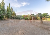 Finca rústica en venta en Botarell ref: TR414945 foto