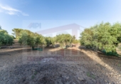 Finca rústica en venta en Botarell ref: TR414945 foto