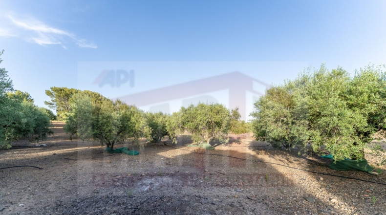 Tarragona - Botarell - 4743m2