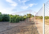Finca rústica en venta en Botarell ref: TR414945 foto