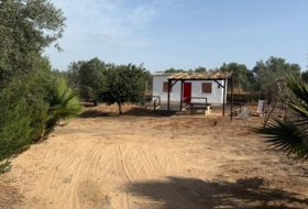 Almonte 2000&nbsp;m²