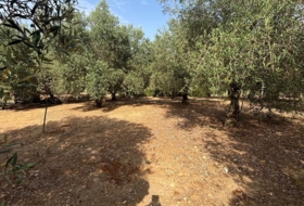 Almonte 2000&nbsp;m²