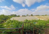 Casa de campo con terreno en venta en Villarrobledo ref: TR414949 foto