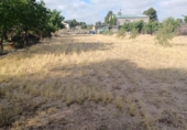 Casa de campo con terreno en venta en Villarrobledo ref: TR414949 foto