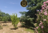 Chalet independiente con terreno en venta en La Guardia de Jaén ref: TR414969 foto