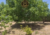 Chalet independiente con terreno en venta en La Guardia de Jaén ref: TR414969 foto