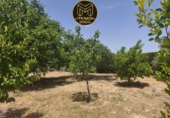 Chalet independiente con terreno en venta en La Guardia de Jaén ref: TR414969 foto