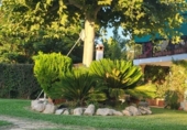 Chalet independiente con terreno en venta en Jaén ref: TR414954 foto