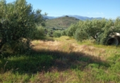 Terreno no urbanizable en venta en Valdepeñas de Jaén ref: TR414961 foto