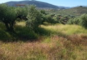 Terreno no urbanizable en venta en Valdepeñas de Jaén ref: TR414961 foto