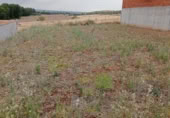 Suelo urbano en venta en la Calle Marqués de Auñón 5, Alalpardo, ref: TR414975 foto