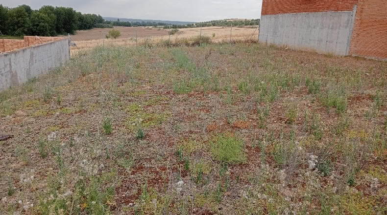 Comunidad de Madrid - Alalpardo - 569m2