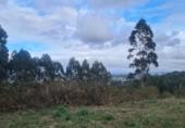 Terreno no urbanizable en venta en la CAMINO DE CASTRO A pena loureira, Vilaboa, ref: TR414973 foto