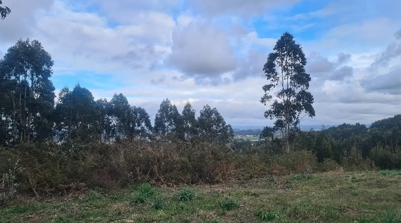 Lugo - Vilaboa - 14550m2