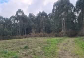 Terreno no urbanizable en venta en la CAMINO DE CASTRO A pena loureira, Vilaboa, ref: TR414973 foto