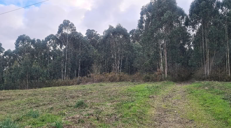 Lugo - Vilaboa - 14550m2