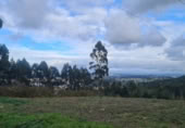 Terreno no urbanizable en venta en la CAMINO DE CASTRO A pena loureira, Vilaboa, ref: TR414973 foto